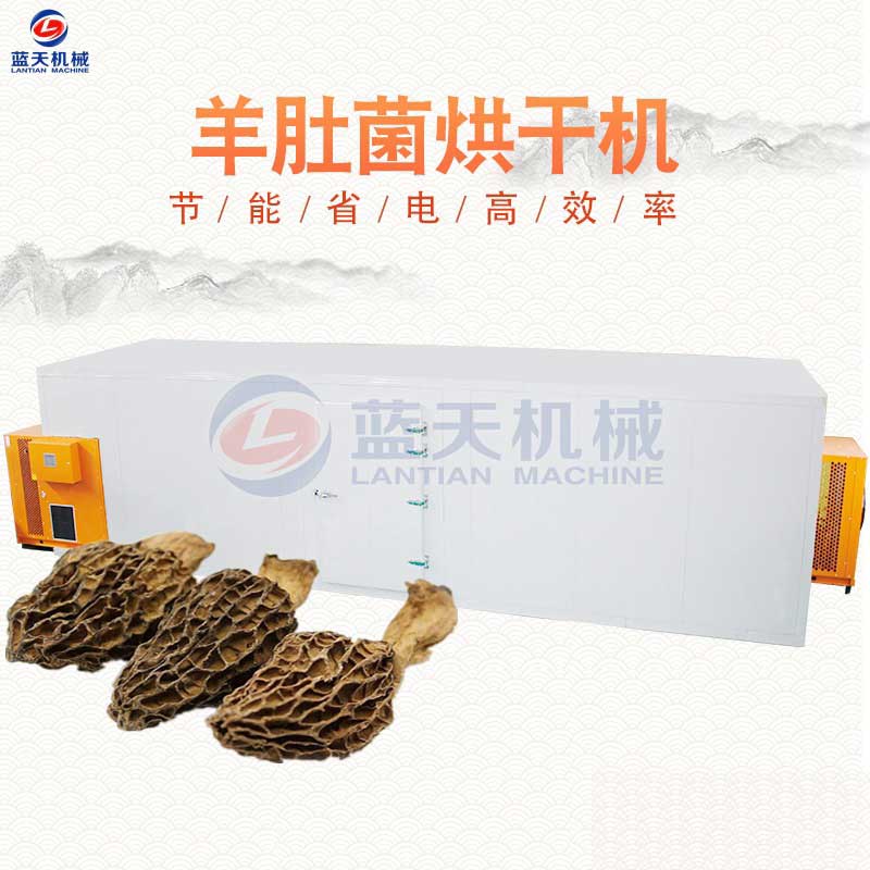 羊肚菌烘干机