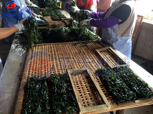 海带烘干工艺