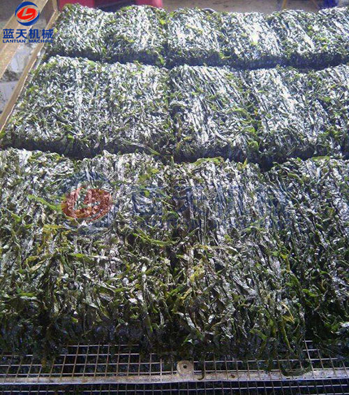 海带烘干工艺