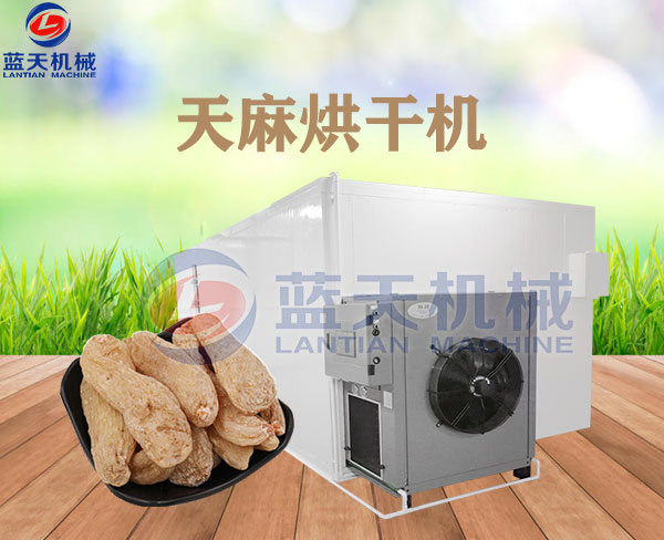 天麻烘干机