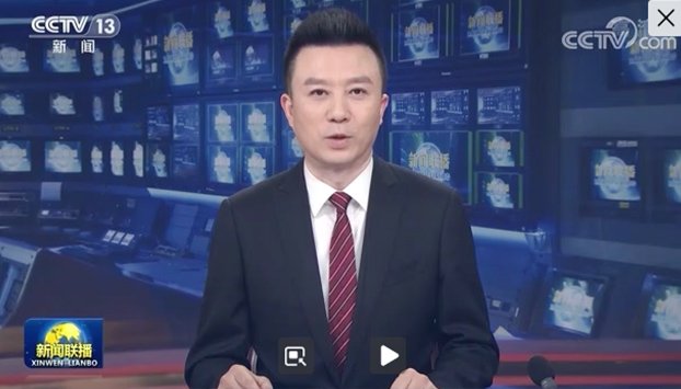 台湾东吴大学客座教授